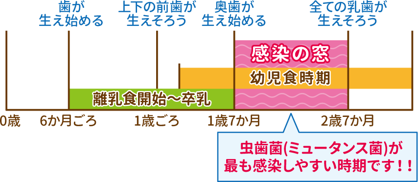 お子様の歯を守るために