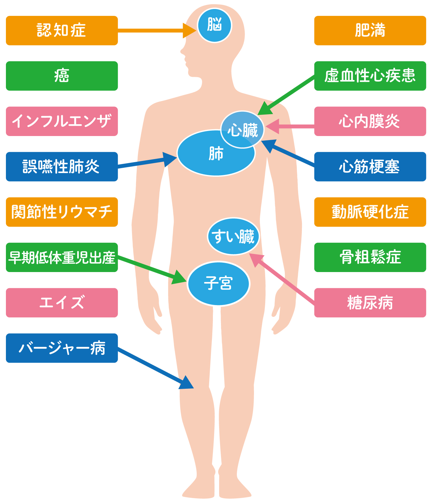 歯周病が与える影響