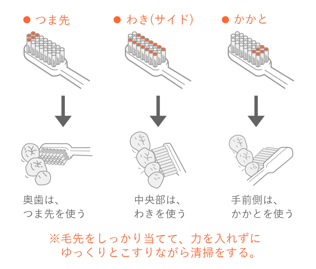 歯ブラシの使い方